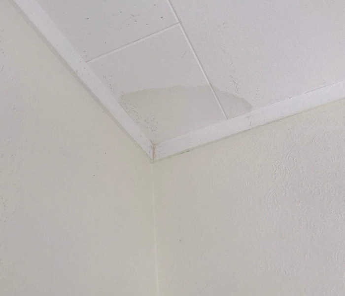Leaks from the ceiling are a sign of poor roof maintenance.